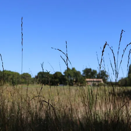 Bed & Breakfast Le Moulin De