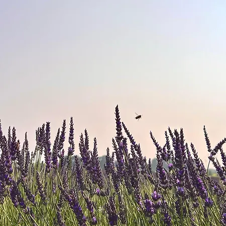 Couette-café Le Moulin De Montségur-sur-Lauzon