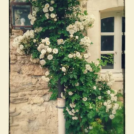 Le Moulin De 3*